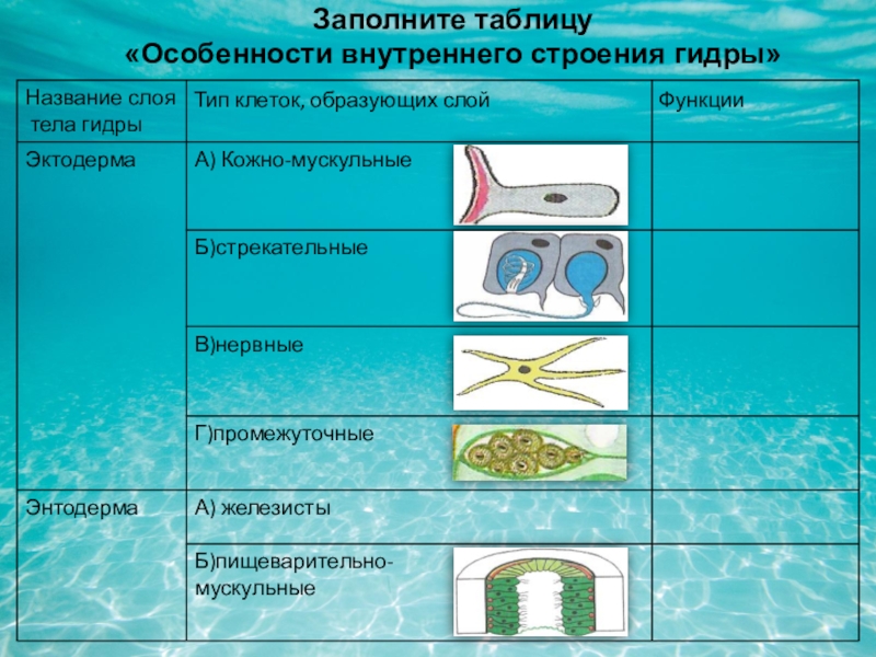 Актуальные ссылки кракен 2025